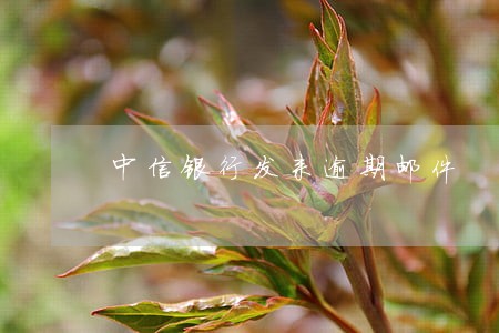 中信银行发来逾期邮件 中信银行发来逾期邮件