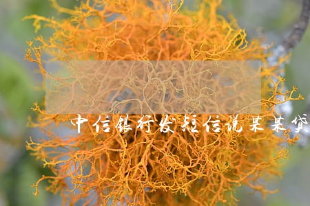 中信银行发短信说某某贷逾期 中信银行发短信说某某贷逾期
