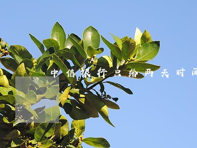 中信银行只给两天时间还本金 中信银行只给两天时间还本金