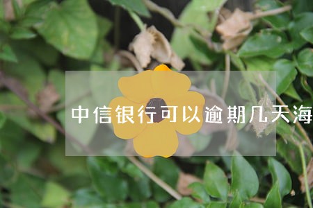 中信银行可以逾期几天海宽 中信银行可以逾期几天海宽