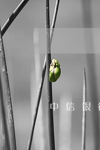 中信银行圆梦金逾期是民事吗 中信银行圆梦金逾期是民事吗