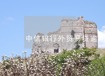 中信银行外贸易贷逾期 中信银行外贸易贷逾期