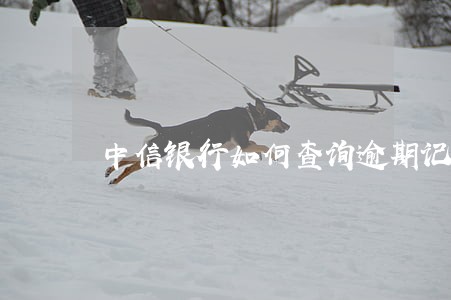 中信银行如何查询逾期记录 中信银行如何查询逾期记录