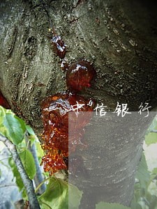 中信银行小额贷款逾期 中信银行小额贷款逾期