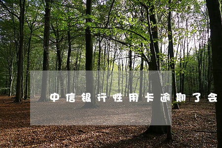 中信银行性用卡逾期了会报案