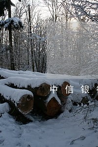 中信银行房贷逾期1元 中信银行房贷逾期1元