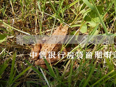中信银行房贷逾期申请扣款 中信银行房贷逾期申请扣款