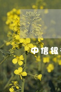 中信银行新秒贷还款逾期 中信银行新秒贷还款逾期