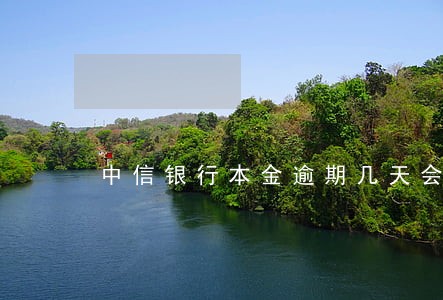 中信银行本金逾期几天会上征信吗 中信银行本金逾期几天会上征信吗
