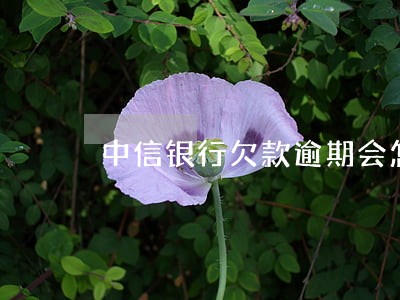 中信银行欠款逾期会怎么样 中信银行欠款逾期会怎么样