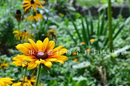中信银行每个月扣5块逾期了 中信银行每个月扣5块逾期了