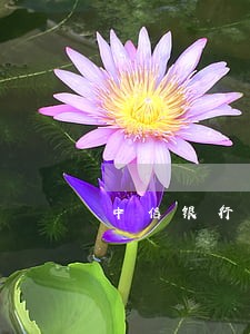 中信银行消费贷款逾期 中信银行消费贷款逾期