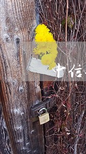 中信银行理财产品逾期 中信银行理财产品逾期