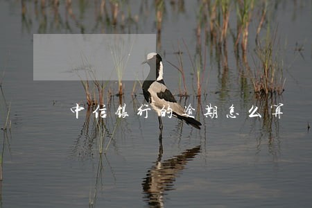中信银行的逾期怎么算 中信银行的逾期怎么算