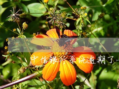 中信银行系统逾期了一个月 中信银行系统逾期了一个月
