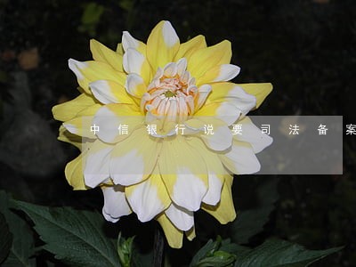 中信银行说要司法备案啥意思 中信银行说要司法备案啥意思