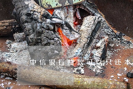 中信银行贷款可以只还本金 中信银行贷款可以只还本金