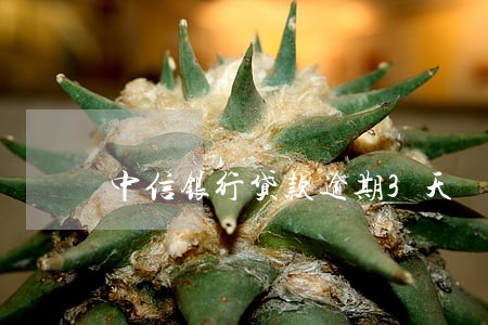 中信银行贷款逾期3天