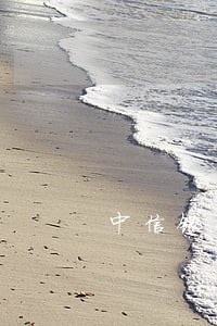 中信银行贷款逾期一年 中信银行贷款逾期一年