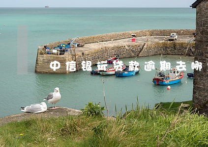 中信银行贷款逾期去哪里还 中信银行贷款逾期去哪里还