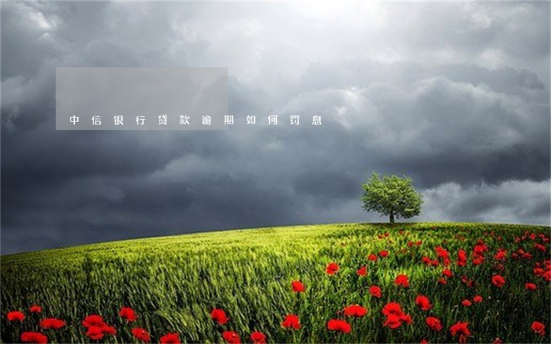 中信银行贷款逾期如何罚息 中信银行贷款逾期如何罚息