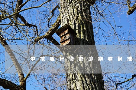 中信银行贷款逾期收到催收函 中信银行贷款逾期收到催收函