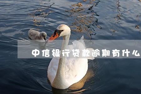 中信银行贷款逾期有什么办 中信银行贷款逾期有什么办