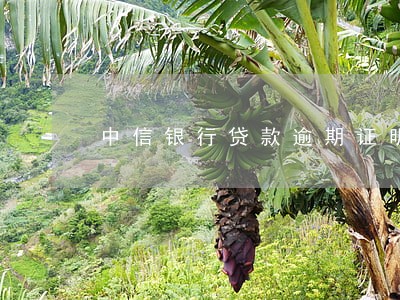 中信银行贷款逾期证明模板 中信银行贷款逾期证明模板