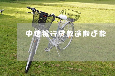 中信银行贷款逾期还款 中信银行贷款逾期还款