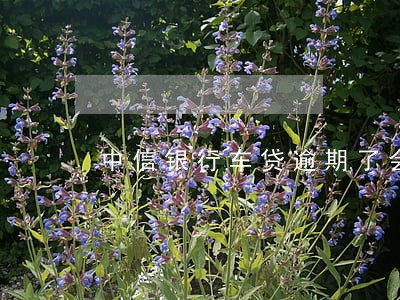 中信银行车贷逾期了会怎么样 中信银行车贷逾期了会怎么样