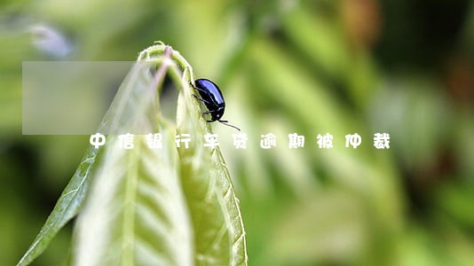 中信银行车贷逾期被仲裁 中信银行车贷逾期被仲裁