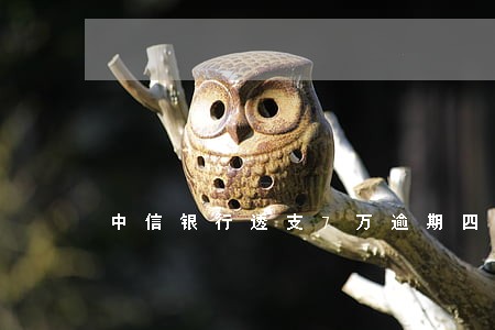 中信银行透支7万逾期四个月 中信银行透支7万逾期四个月