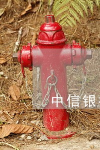 中信银行逾期26000会怎样 中信银行逾期26000会怎样