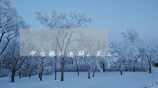中信银行逾期2天上 中信银行逾期2天上