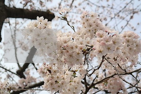 中信银行逾期30004 中信银行逾期30004