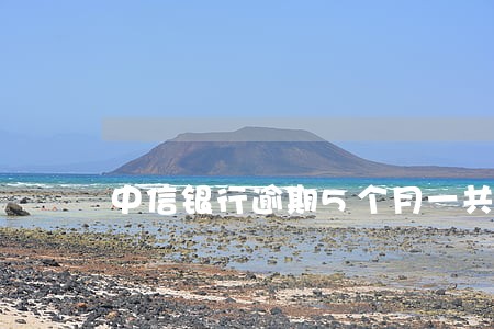 中信银行逾期5个月一共1万 中信银行逾期5个月一共1万