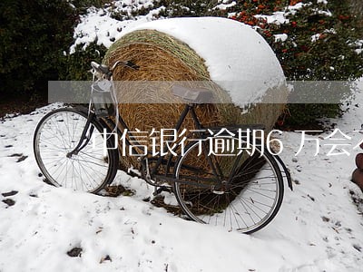 中信银行逾期6万会不会上门 中信银行逾期6万会不会上门