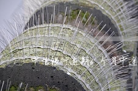 中信银行逾期6个月中途有还款