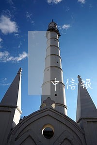 中信银行逾期一个月滞纳金 中信银行逾期一个月滞纳金