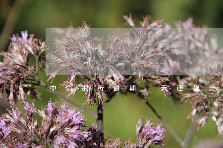 中信银行逾期一天还款会怎样 中信银行逾期一天还款会怎样