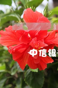 中信银行逾期三个月后短信通知 中信银行逾期三个月后短信通知