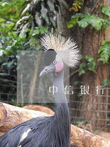 中信银行逾期不给协商