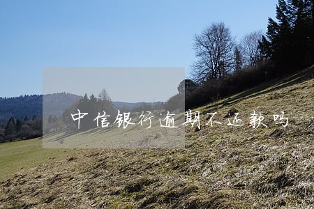 中信银行逾期不还款吗 中信银行逾期不还款吗