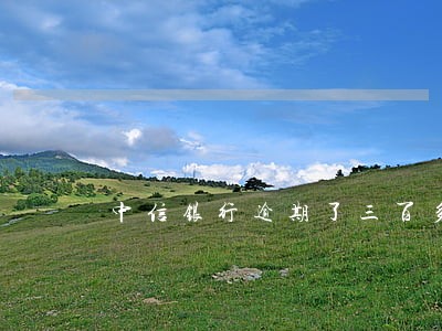 中信银行逾期了三百多天