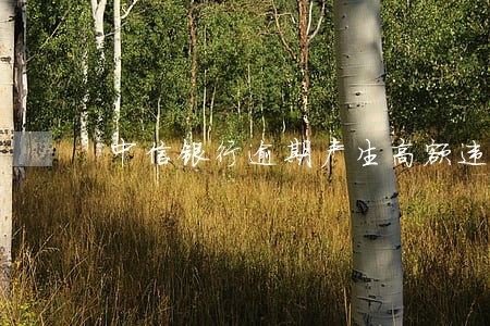 中信银行逾期产生高额违约金 中信银行逾期产生高额违约金