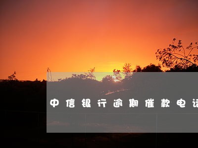 中信银行逾期催款电话 中信银行逾期催款电话