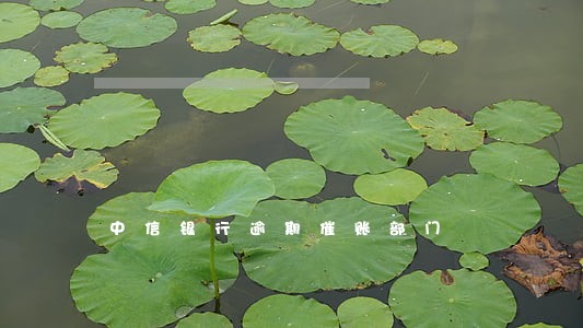 中信银行逾期催账部门