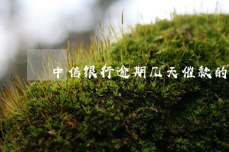 中信银行逾期几天催款的招数 中信银行逾期几天催款的招数