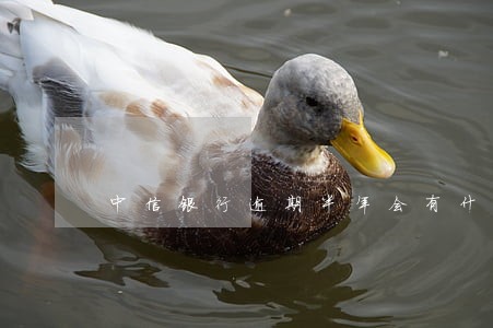 中信银行逾期半年会有什么后果 中信银行逾期半年会有什么后果