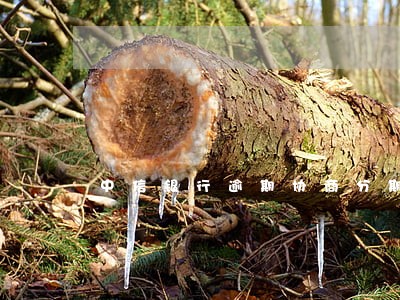 中信银行逾期协商分期会上征信吗 中信银行逾期协商分期会上征信吗